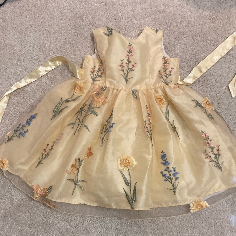 Girls Embroidered Yellow Dress size 2T kids
